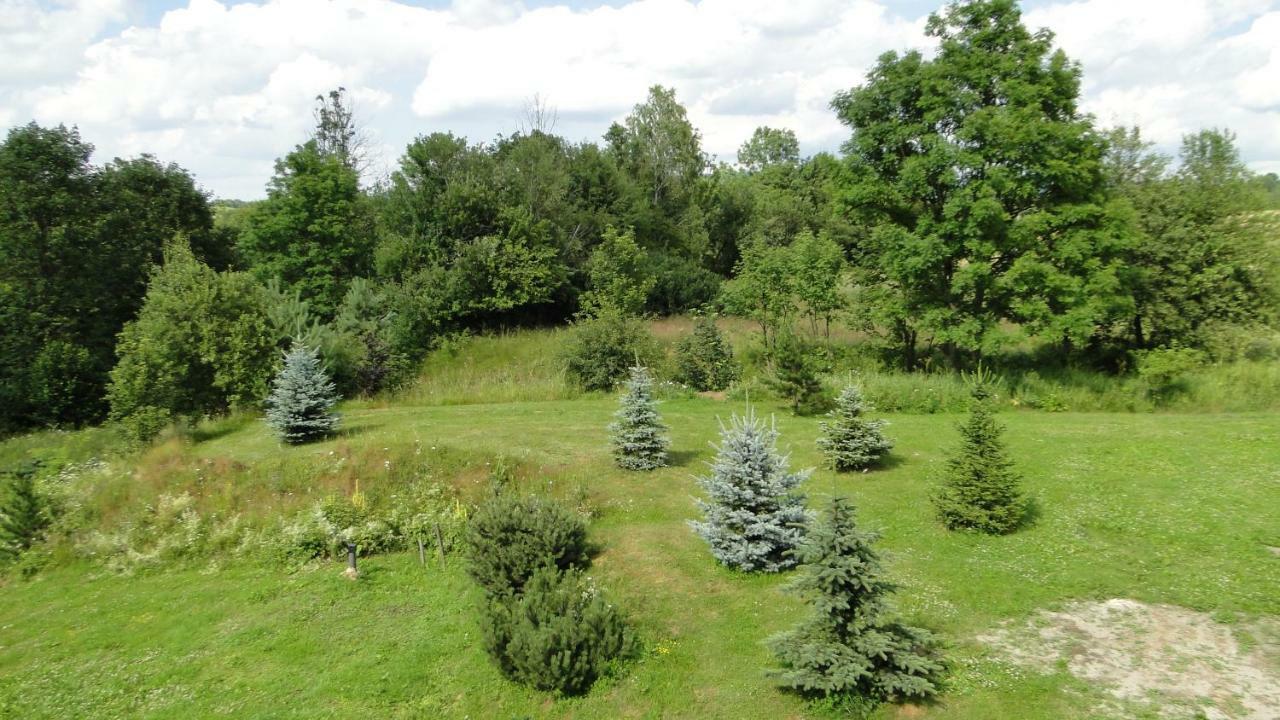 Gutkowa Koliba Villa Jasliska Esterno foto