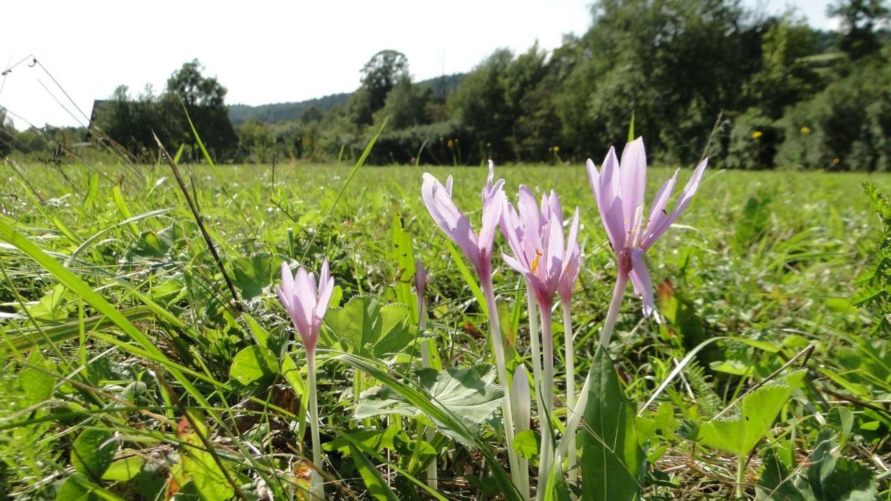 Gutkowa Koliba Villa Jasliska Esterno foto