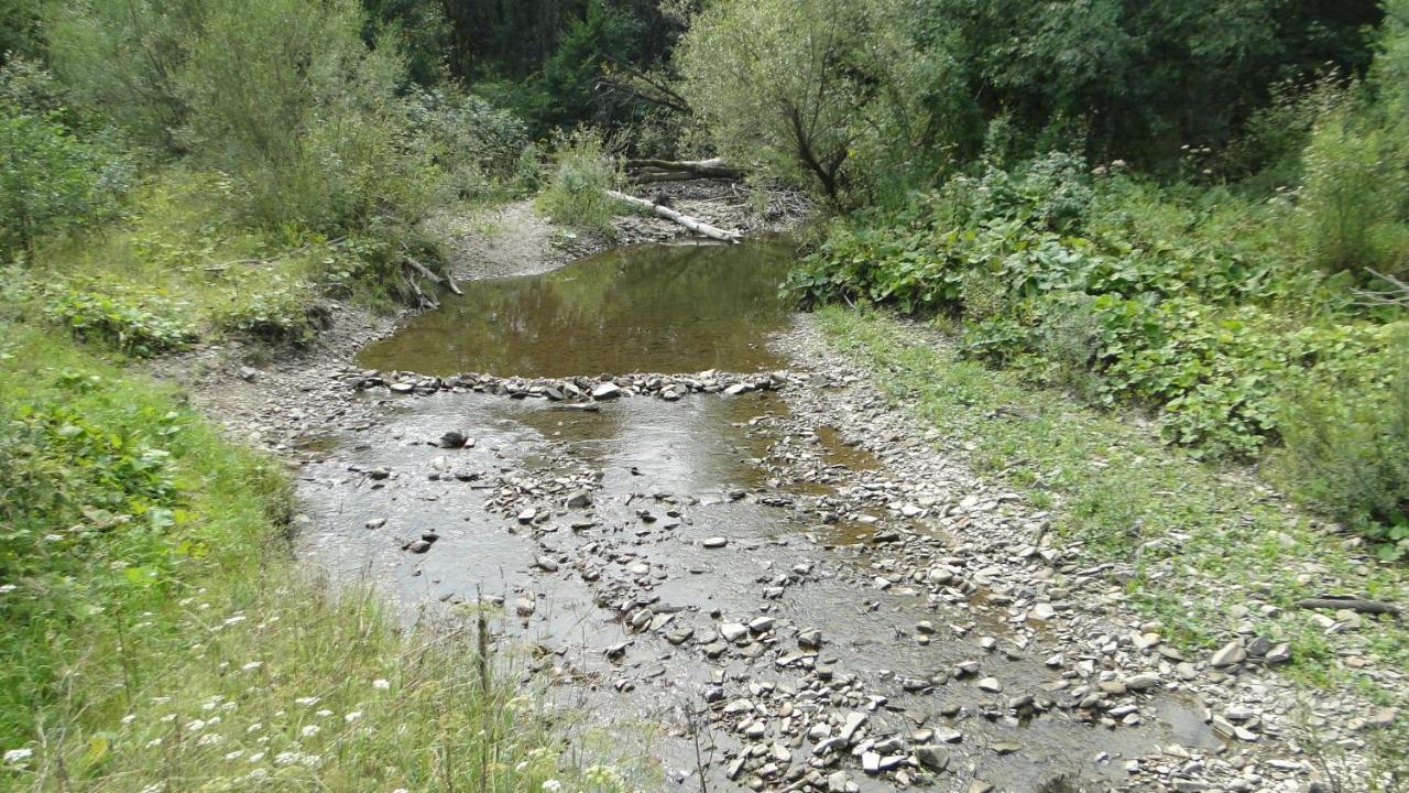 Gutkowa Koliba Villa Jasliska Esterno foto
